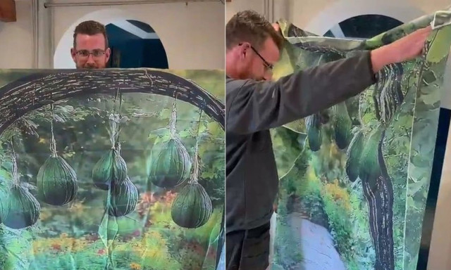 Λάθος παραγγελία από Temu: Παρήγγειλαν μεταλλική αψίδα κήπου και έλαβαν μια... φωτογραφία της