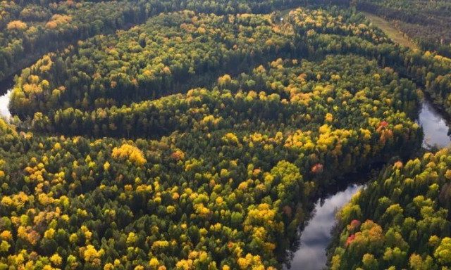 Ανακαλύφθηκε αρχαίο δάσος 400.000 ετών θαμμένο κάτω από τη Βόρεια Θάλασσα