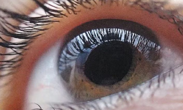 Επιστήμονες λαμβάνουν το “Όσκαρ της επιστήμης” για γενετική θεραπεία που βελτιώνει την όραση