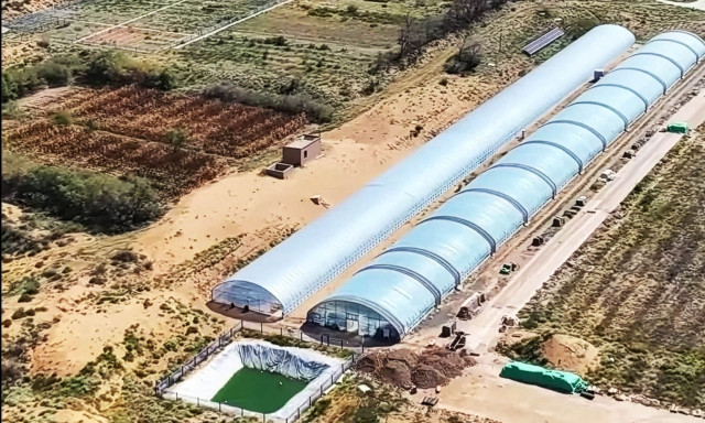 Κινέζοι επιστήμονες κάνουν την άμμο της ερήμου να “ζωντανεύει” μέσα σε 10 μήνες