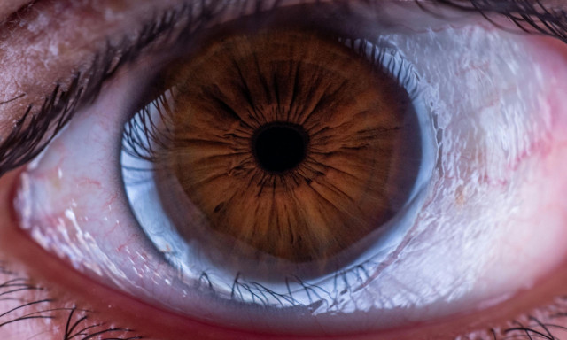 Επιστήμονες λαμβάνουν το “Όσκαρ της επιστήμης” για γενετική θεραπεία που βελτιώνει την όραση