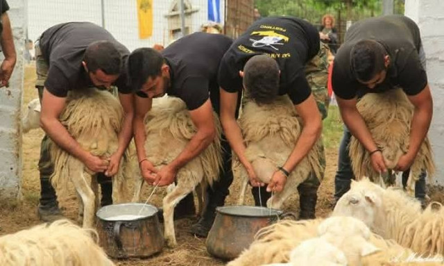 Χανιά: 15 τόνοι γάλα μοιράστηκαν στη γιορτή του Άη Γιώργη του Γαλατά στην Ασή Γωνιά