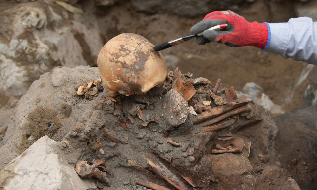 Το 99% των ανθρώπων εξαφανίστηκε πριν 900.000 χρόνια – Πώς επέζησαν μόνο 1.000