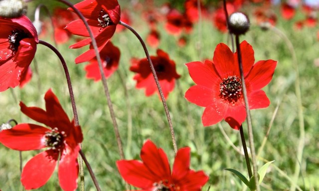 Καιρός: Πώς θα κάνουμε Πρωτομαγιά - Η πρόγνωση Αρναούτογλου