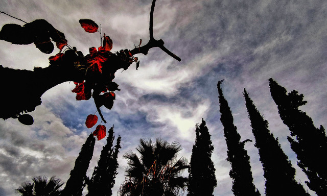 Καιρός Πρωτομαγιάς: «Θα κοιμηθούμε με άνοιξη, θα ξυπνήσουμε με χειμώνα» - Η πρόγνωση Καλλιάνου