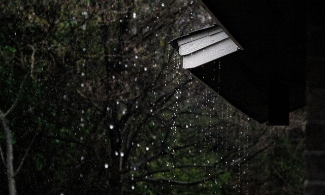 Πώς οι μύκητες μπορούν να επηρεάσουν τον καιρό και να προκαλέσουν βροχή