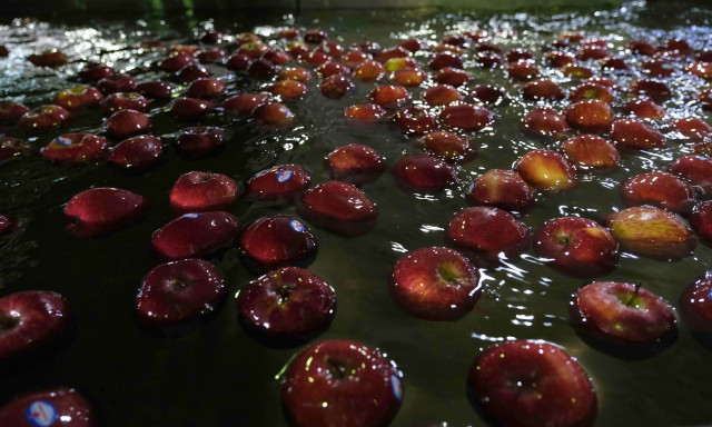 Έφυγε από τη ζωή ο πρώην πρόεδρος του ΑΣ Ζαγοράς Πηλίου «ZAGORIN», Θεμιστοκλής Βαλασσάς