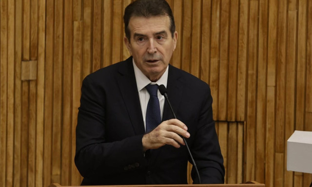 Χρυσοχοΐδης για 89χρονο: Υπάρχουν κενά ασφάλειας- Πολύ κακώς που μπήκε χωρίς έλεγχο στο Ειρηνοδικείο