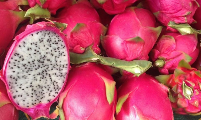 Ξυλουργός φύτεψε 450 δέντρα και παράτησε τη δουλειά του για να ζήσει αποκλειστικά από αυτό