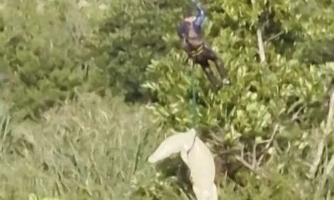 Κροκόδειλος κατασπάραξε άνδρα: Οι αστυνομικοί τον... συνέλαβαν για να βρουν το πτώμα στην κοιλιά του