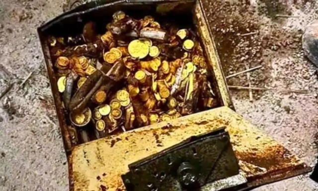 Βιέννη: Υδραυλικός βρήκε θησαυρό 2,4 εκατ. δολαρίων σε υπόγειο - Το σχοινί που αποκάλυψε τα πάντα