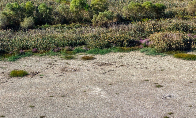 METEO: Η ακτινογραφία της ξηρασίας στην Ελλάδα – Ποιες περιοχές «διψούν»