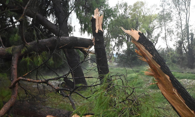 Ηράκλειο: Σε απόγνωση οι παραγωγοί μετά τις ζημιές σε αμπελοκαλλιέργειες από την έντονη χαλαζόπτωση
