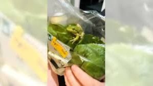 Πήγε να ανοίξει τη σαλάτα του και βρήκε... έναν ολοζώντανο βάτραχο - Η απρόσμενη αντιδρασή του