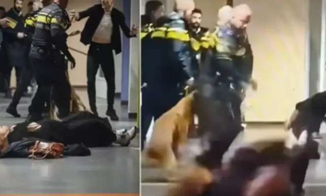 Κατακραυγή στο διαδίκτυο - Βίντεο δείχνει Ολλανδούς αστυνομικούς να ρίχνουν στο έδαφος έγκυο