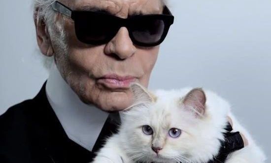 Άφραγκη η Choupette, η γάτα κληρονόμος του σχεδιαστή Λάγκερφελντ - Πού πήγε το 1,5 εκατ δολάρια;