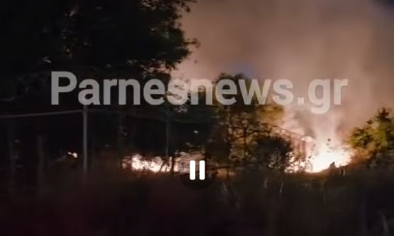 Φωτιά σε χώρο εργοστασίου στο Μενίδι – Οριοθετήθηκε άμεσα από την Πυροσβεστική