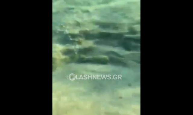 Χανιά: Λουόμενος βρήκε οβίδα στην θάλασσα, λίγα μέτρα μακριά από την αμμουδιά – Βίντεο