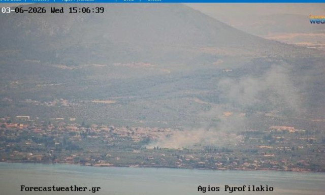 Φωτιά τώρα στην Χαλκίδα στην περιοχή Δροσιά - Καίει σε αγροτοδασική έκταση
