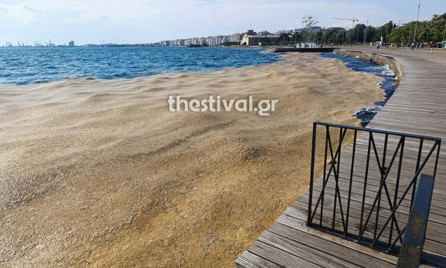 Θεσσαλονίκη: Το φυτοπλαγκτόν επέστρεψε στον Θερμαϊκό – Αντιαισθητική η εικόνα στο παραλιακό μέτωπο