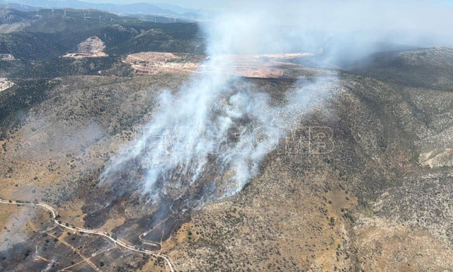 Τέθηκε υπό έλεγχο η φωτιά κοντά στο Άλσος Βεΐκου - Φωτογραφίες και βίντεο