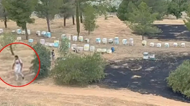 Φωτιά στο Άλσος Βεΐκου: Βίντεο με τον μελισσοκόμο να φεύγει από το σημείο - Παραμένει ασύλληπτος