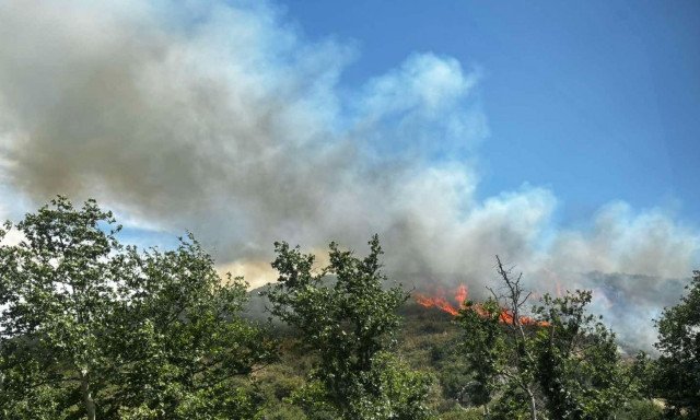Φωτιά τώρα στα Πεύκα Θεσσαλονίκης, κοντά στο Φίλυρο: Επιχειρούν και εναέρια μέσα, SMS απο το 112