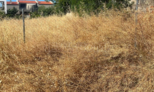 Αυτοψία Newsbomb: Καθαρίζουν τα οικόπεδα αλλά αφήνουν την «καύσιμη ύλη» - 350.000 δηλώσεις