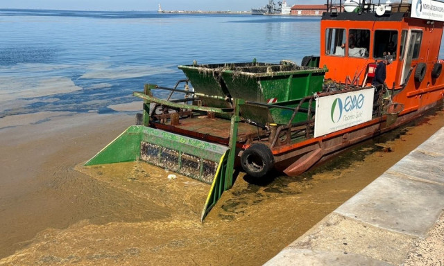 Η «ερυθρά παλίρροια» φέρνει δυσοσμία και καφέ βλέννα στο Θερμαϊκό – Πού οφείλεται το φαινόμενο
