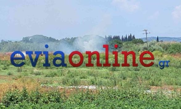 Φωτιά σε υγροβιότοπο στην Εύβοια - Στο σημείο ισχυρές πυροσβεστικές δυνάμεις
