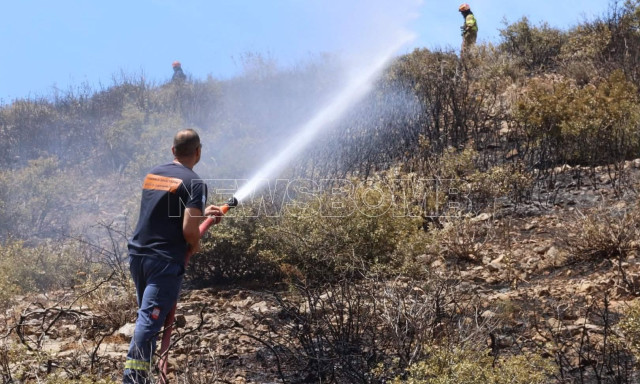 Υπό έλεγχο η φωτιά στην Πλάκα Λαυρεωτικής - Ξεκίνησε κοντά σε πυλώνα της ΔΕΗ