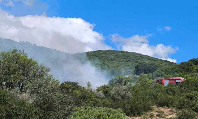 Φωτιά τώρα στο Μέγα Δένδρο Θέρμου