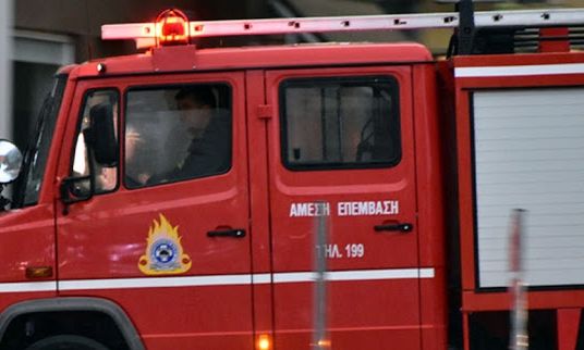 Φωτιά στα Μελίσσια Αττικής - Στο σημείο δυνάμεις της Πυροσβεστικής
