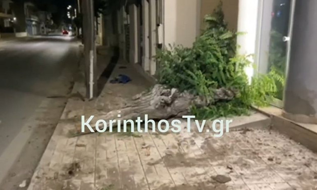Κιάτο: Σοβαρό τροχαίο με αυτοκίνητο που «ξήλωσε» δέντρο