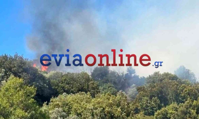 Μεγάλη φωτιά τώρα στην Εύβοια μεταξύ Αλμυροποτάμου και Μεσοχωρίων - Ήχησε το 112