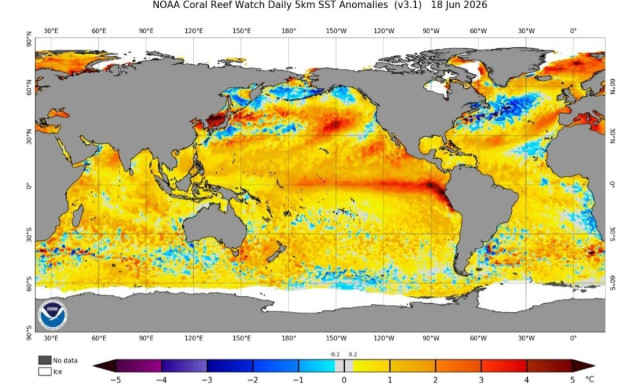 Καιρός: El Niño, Πολικός Στρόβιλος και Αρκτική - Τι φέρνουν για την Ελλάδα τον φετινό χειμώνα