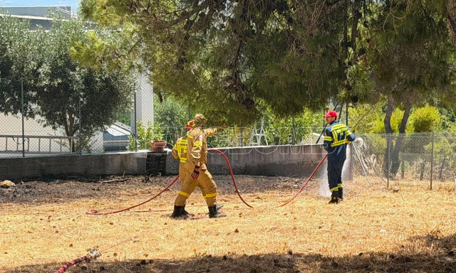 Πικέρμι: Φωτιά στη Διώνη σε οικόπεδο δίπλα σε σπίτια - Η πυροσβεστική αποσόβησε τα χειρότερα