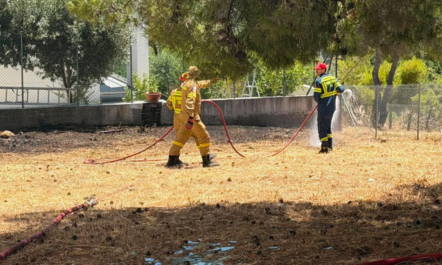 Φωτιά στη Διώνη στο Πικέρμι