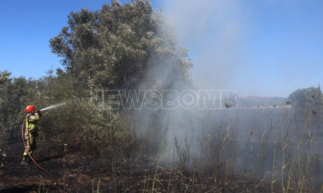 Τρία ενεργά πύρινα μέτωπα σε Αττική και Βοιωτία - Ισχυρές δυνάμεις της Πυροσβεστικής