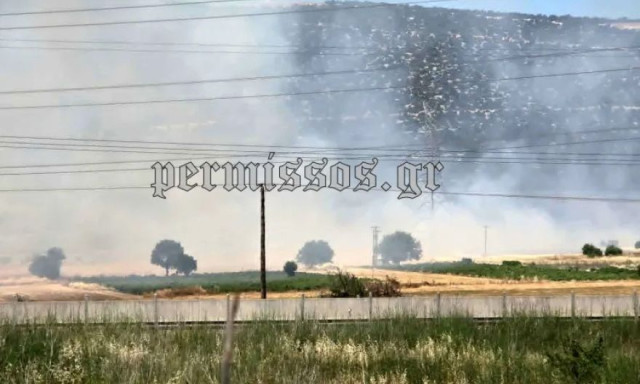 Φωτιά τώρα στον Ελεώνα Θήβας, κοντά στην Εθνική Οδό: Στο σημείο ισχυρή δύναμη της Πυροσβεστικής