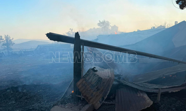 Υπό έλεγχο η φωτιά στο Ακραίφνιο Βοιωτίας - Μεγάλες καταστροφές άφησε πίσω της η πυρκαγιά