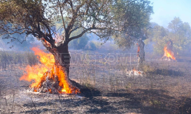 Φωτιά στα Σπάτα: «Μεγάλο μέτωπο με δυνατούς ανέμους και συνέχεια αναζωπυρώσεις», λέει ο δήμαρχος