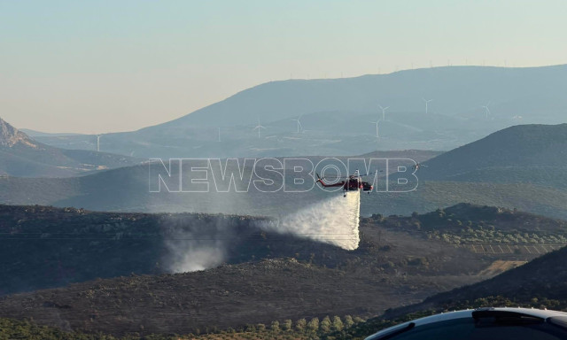 Βελτιωμένη εικόνα στη Βοιωτία: Σε ύφεση η φωτιά στο Ακραίφνιο - Πυροσβέστες και αστυνομία στη μάχη