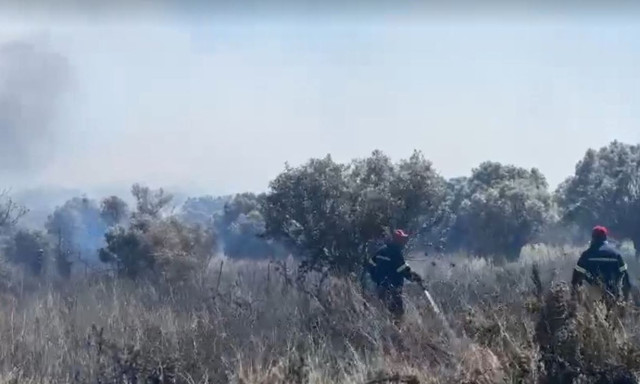Φωτιά στα Σπάτα: «Μεγάλο μέτωπο με δυνατούς ανέμους και συνέχεια αναζωπυρώσεις», λέει ο δήμαρχος