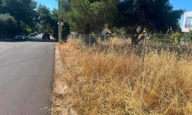 Ακαθάριστα οικόπεδα: Εκπνέει η προθεσμία για την υποβολή δήλωσης - Έλεγχοι και πρόστιμα από αύριο