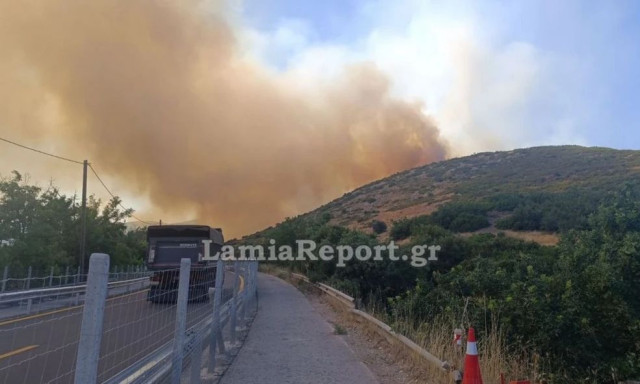 Μεγάλη φωτιά στο Ακραίφνιο Βοιωτίας: Έκλεισε η εθνική από Κάστρο έως Θήβα - Επιχειρούν 11 αεροσκάφη