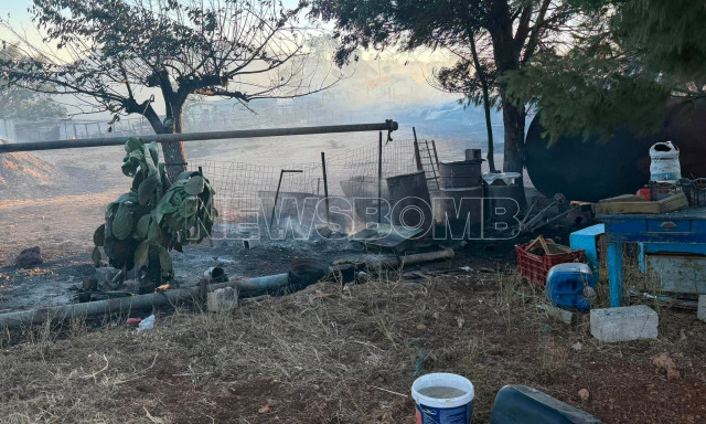 Φωτιά στο Ακραίφνιο: Κτηνοτροφική μονάδα τυλίχθηκε στις φλόγες - Κάηκαν δεκάδες ζώα