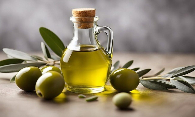 Ελαιόλαδο: Προς μία εξαιρετική χρονιά μετά το απογοητευτικό 2025 – Τι σημαίνει για τις τιμές