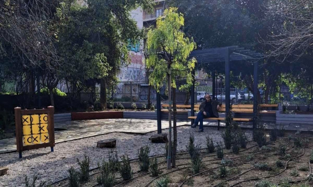 «Η πράσινη Αθήνα αντεπιτίθεται»: Τι απαντά ο Δήμος για τα «βίαια κλαδέματα» και τις κοπές δέντρων