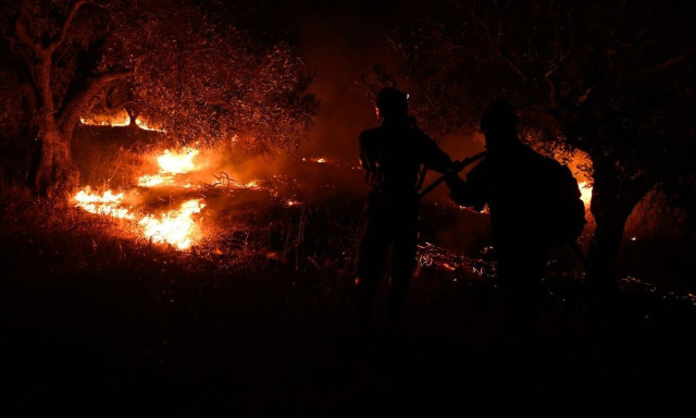 Χωρίς ενεργό μέτωπο η πυρκαγιά σε αγροτοδασική έκταση στον Ορχομενό Βοιωτίας